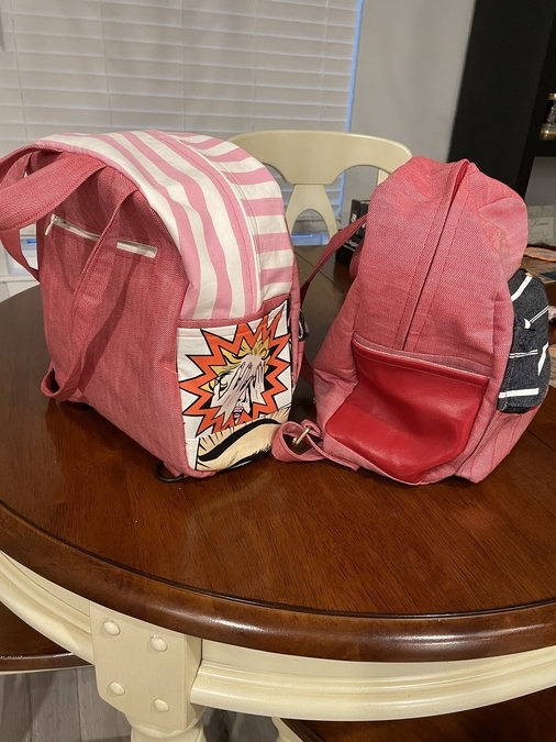 Back pack purses